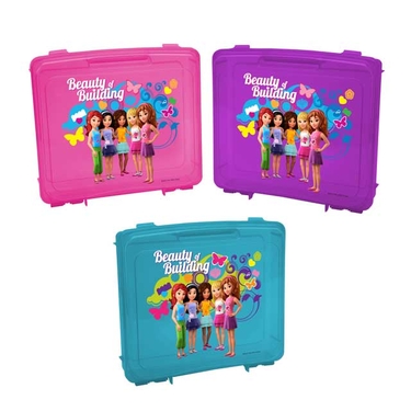 LEGO Friends Project Cases