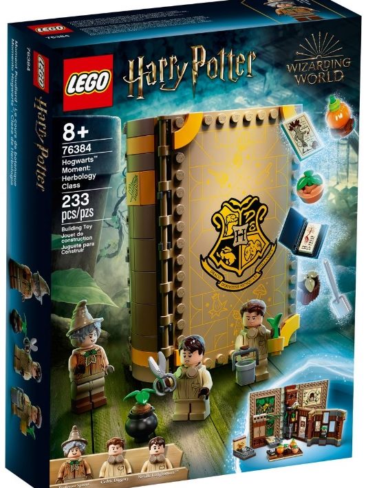 USA LEGO May 2021 Sale Various Harry Potter Hogwarts Moment Sets 20 off Toys N Bricks