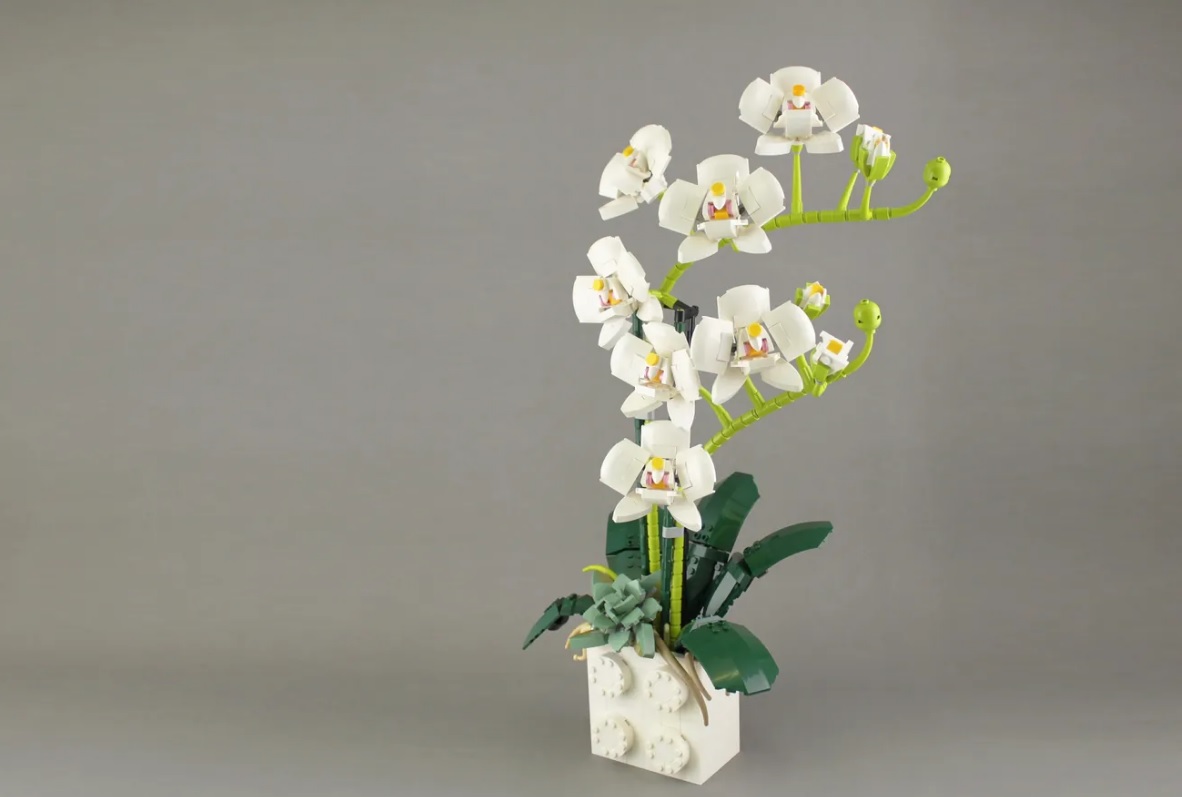 LEGO IDEAS Orchid Project Creation Achieves 10 000 Supporters ...