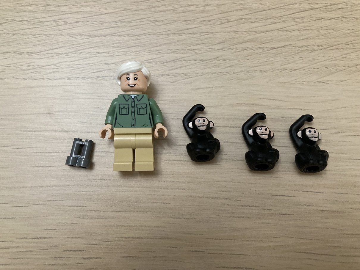 LEGO March 2022 GWP Gift With Purchase Promo Offer: 40530 Jane Goodall  Tribute - Toys N Bricks