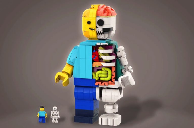 LEGO IDEAS Anatomy Project Creation by legotruman Achieves 10 000 Supporters