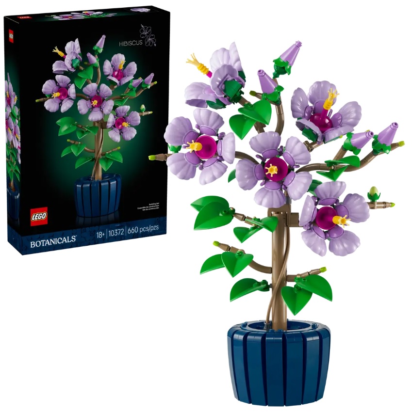 18+ LEGO Botanical Collection Plant Summer August 2025 Set Images