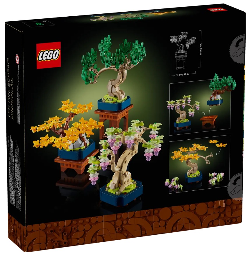 18+ LEGO Botanical Collection Plant Summer August 2025 Set Images