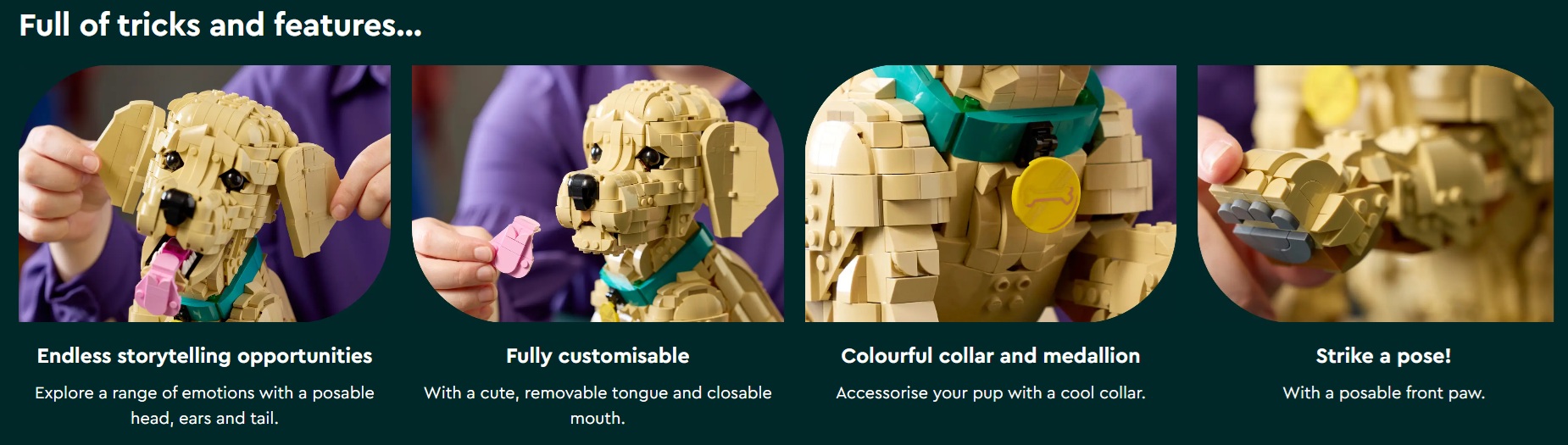 LEGO Icons 11384 Golden Retriever Puppy February 2026 Set: Pre-Orders ...