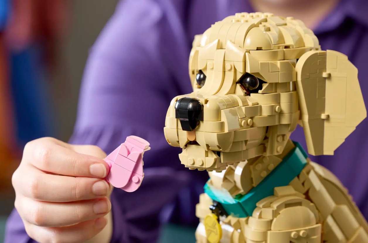 LEGO Icons 11384 Golden Retriever Puppy February 2026 Set: Pre-Orders ...