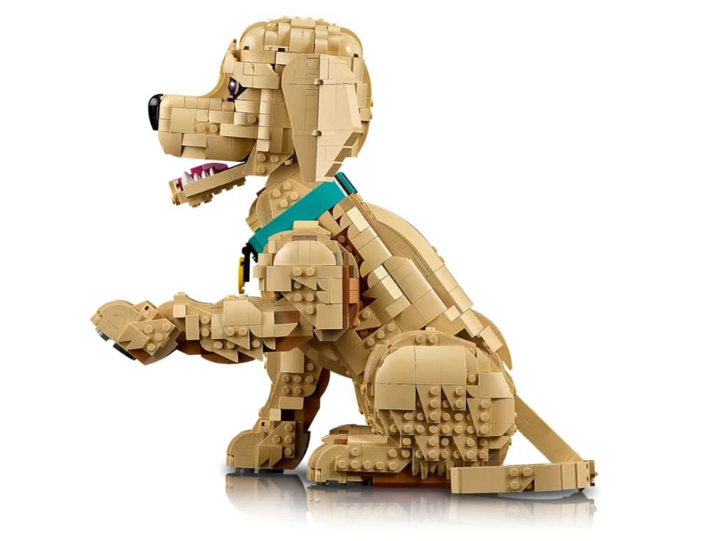 LEGO Icons 11384 Golden Retriever Puppy February 2026 Set: Pre-Orders ...