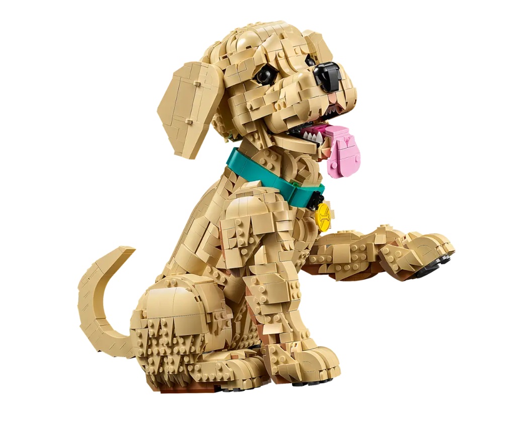 LEGO Icons 11384 Golden Retriever Puppy February 2026 Set: Pre-Orders ...